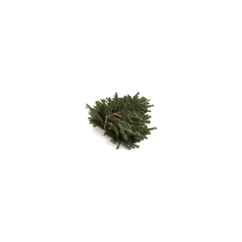 Shop Sapins Branches De Sapin Naturelles Nordmann