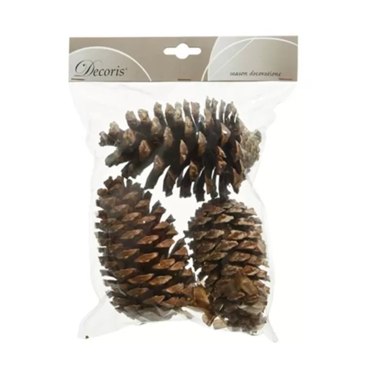 Fashion Sapins Pomme De Pin Naturel