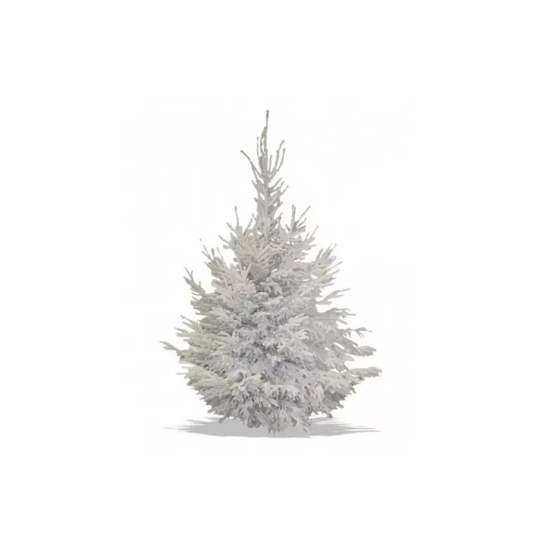 Discount Sapins Sapin Nordmann Floque Blanc